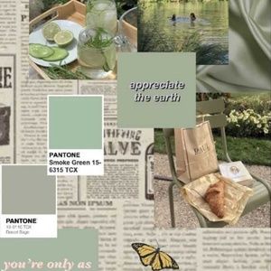 Meet your Posher, Coven